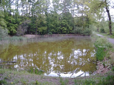 Krötsee (Lindensee)